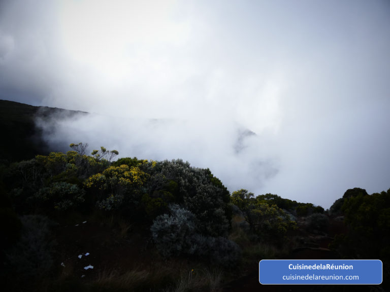 Brume dans les hauts