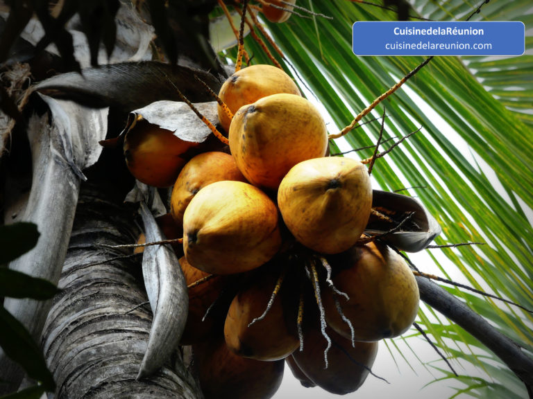 Cocos