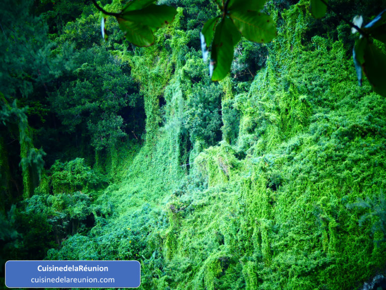 Vegetation