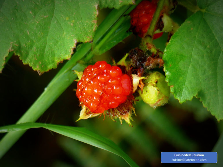 Fombraise
