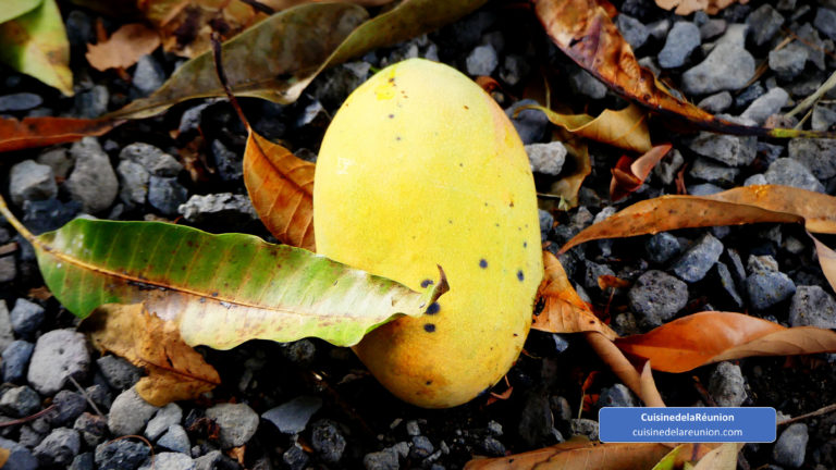 Mangue la cour