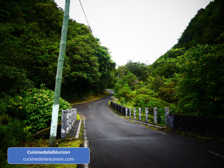 Entrée de Takamaka
